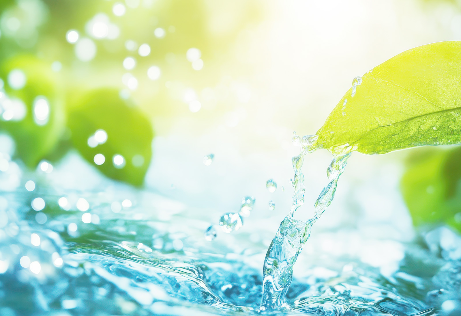 内山鑿泉工業04